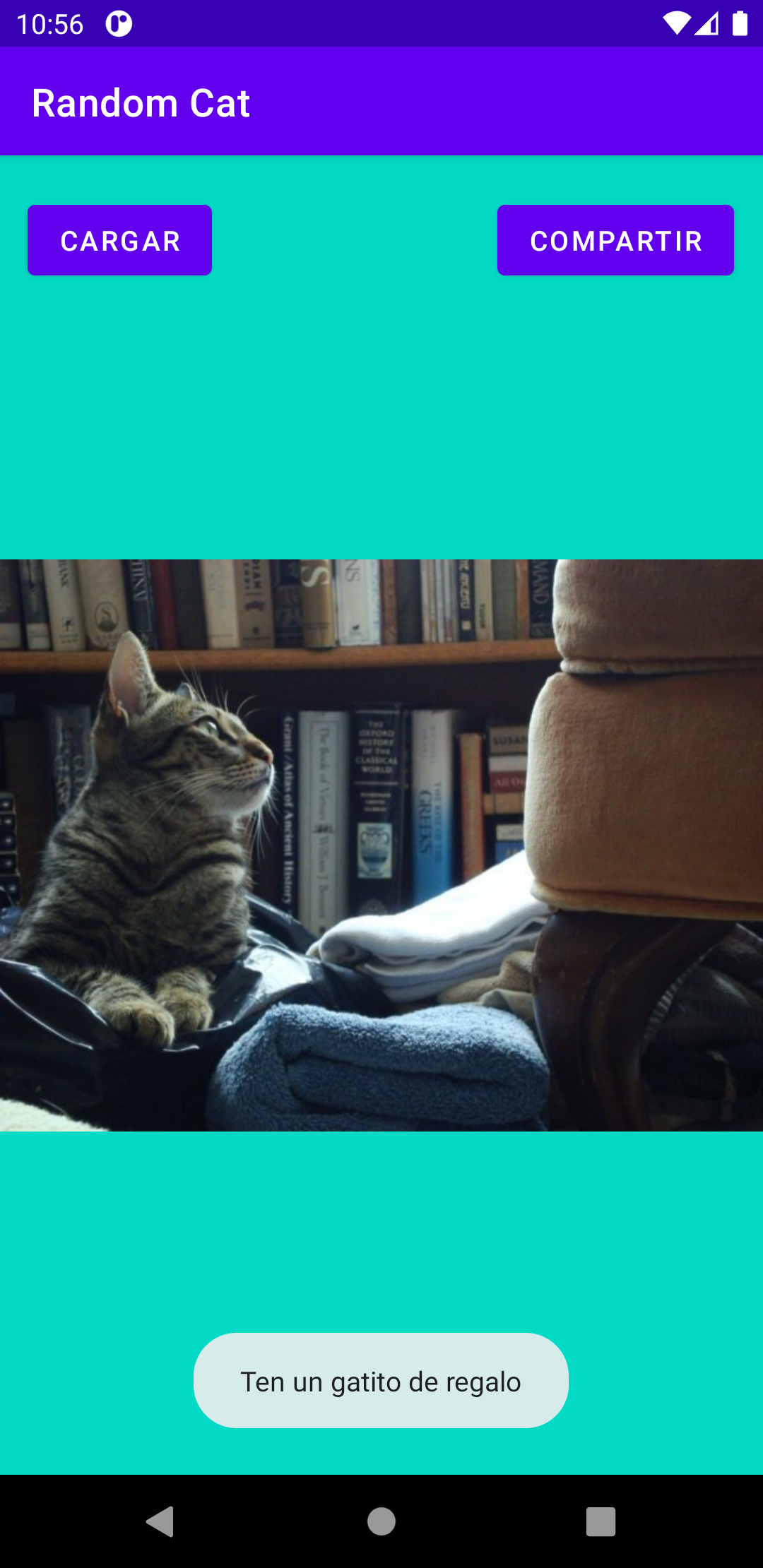 Captura de la app Random Cat mostrando otro gatito