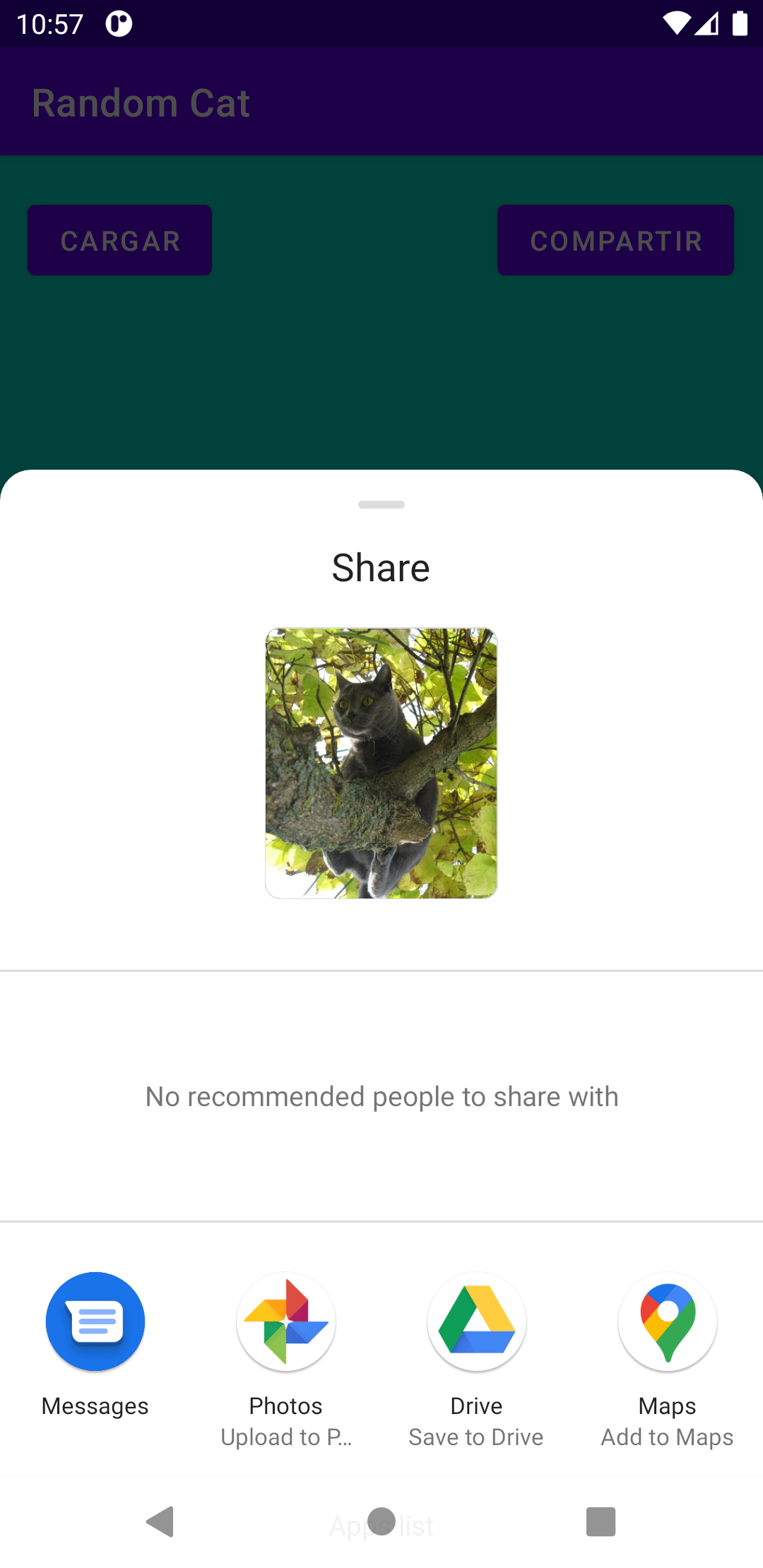 Captura de la app Random Cat mostrando la opción de compartir